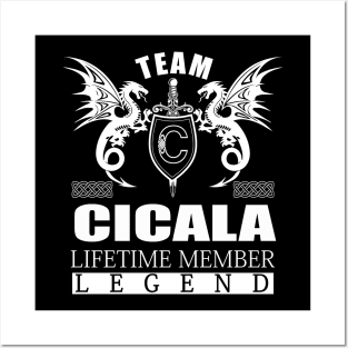 CICALA Posters and Art